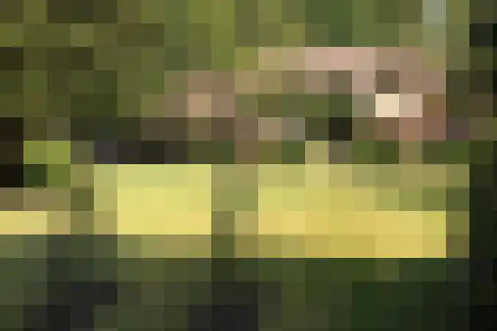 Rozenlaantje 14 Laren thumbnail 52