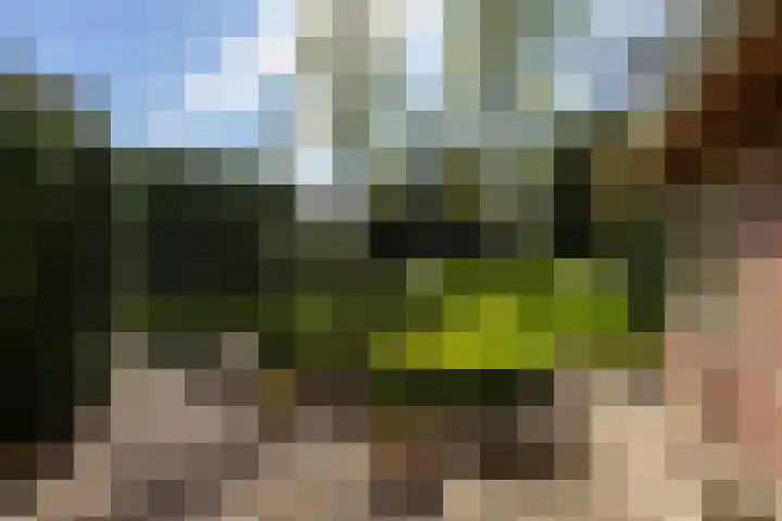 Rozenlaantje 14 Laren thumbnail 6