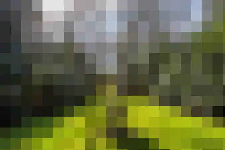Rozenlaantje 14 Laren thumbnail 7