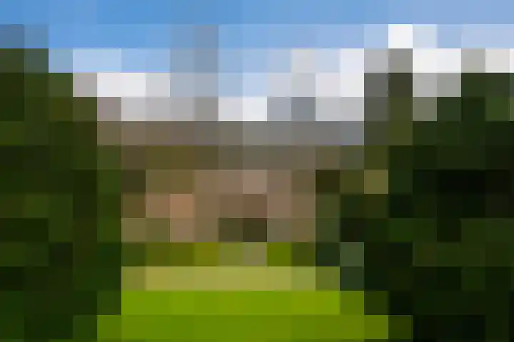 Rozenlaantje 14 Laren thumbnail 8