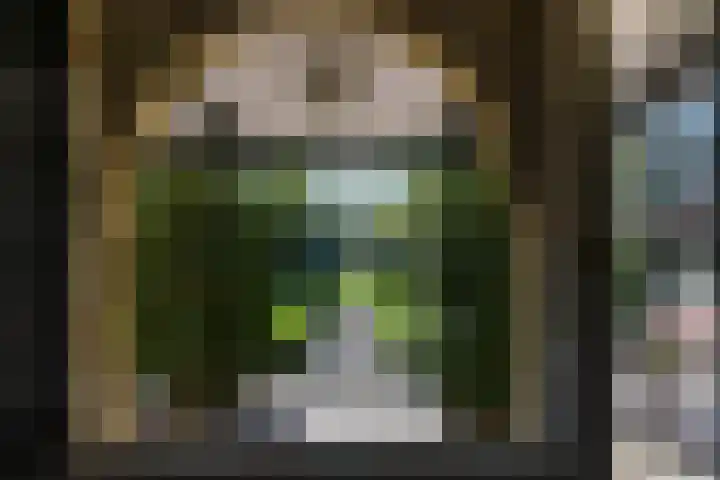 Rozenlaantje 14 Laren thumbnail 9