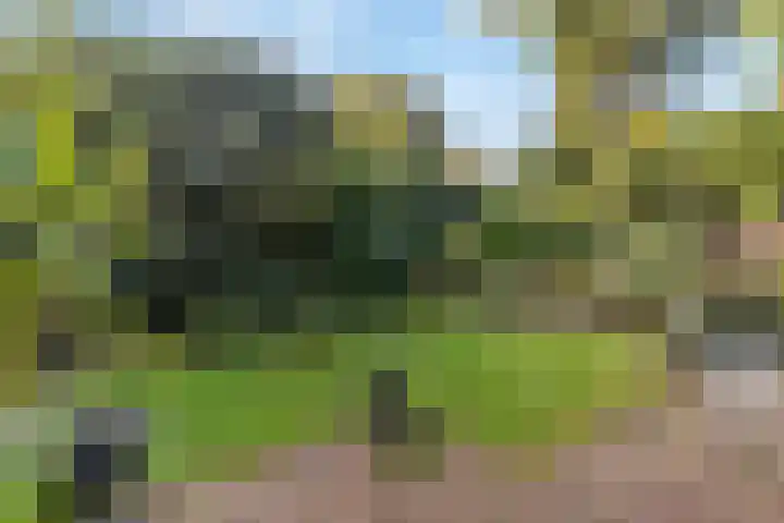 Rozenlaantje 24 Laren thumbnail 37