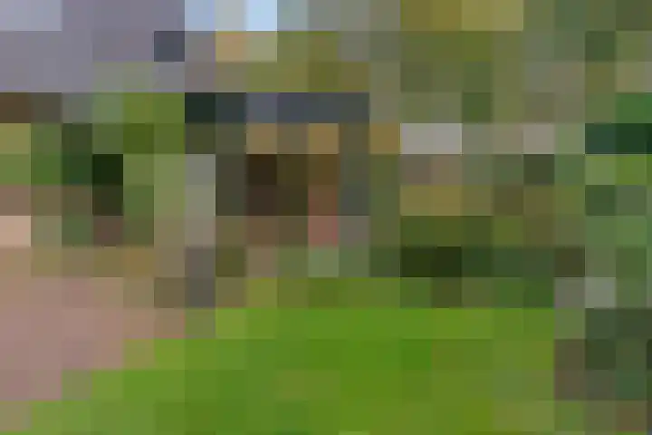 Rozenlaantje 24 Laren thumbnail 38