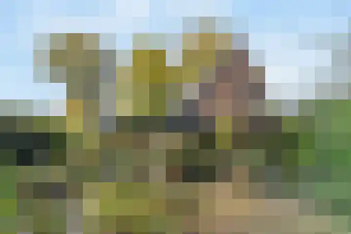 Rozenlaantje 24 Laren thumbnail 4
