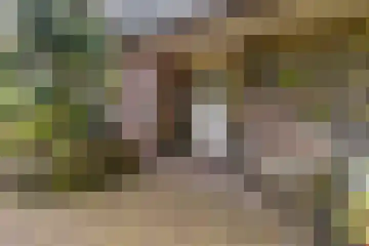 Rozenlaantje 24 Laren thumbnail 5