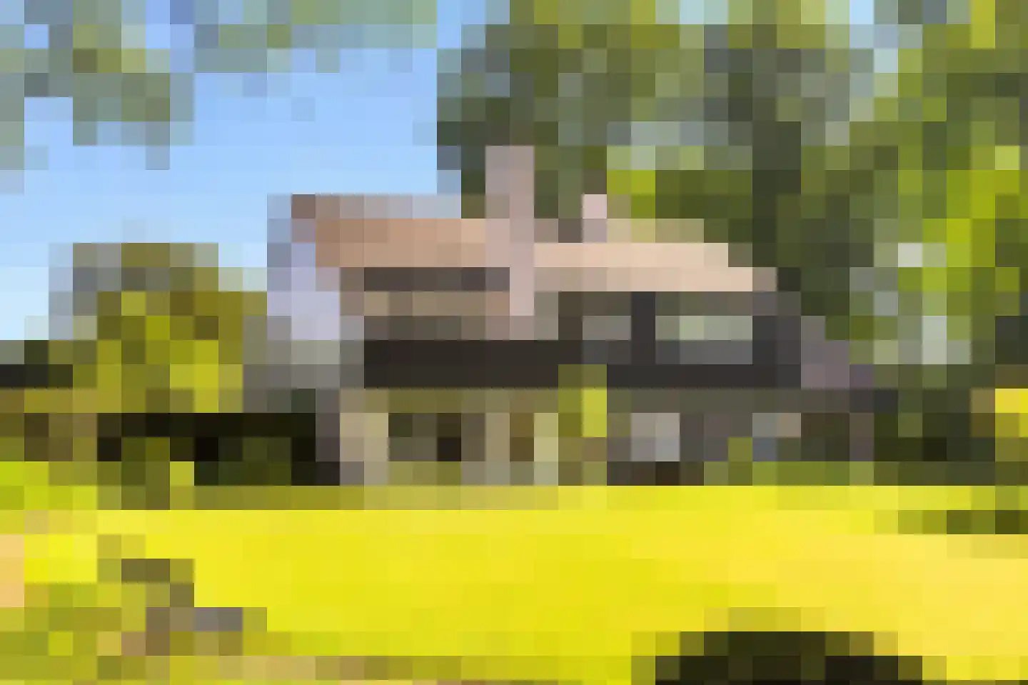 Rozenlaantje 6 Laren thumbnail 10