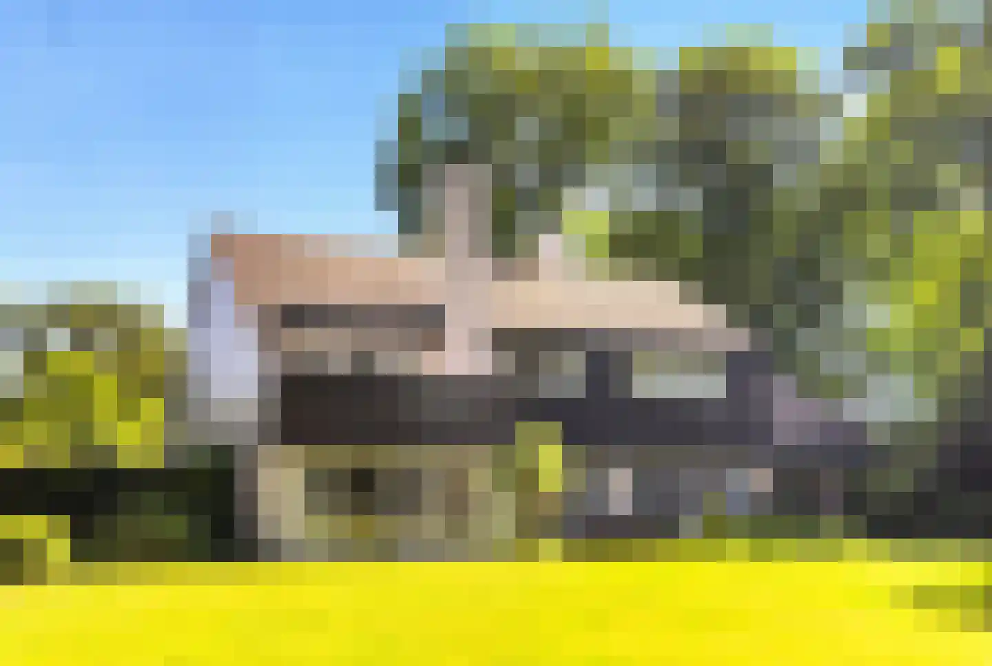 Rozenlaantje 6 Laren thumbnail 11