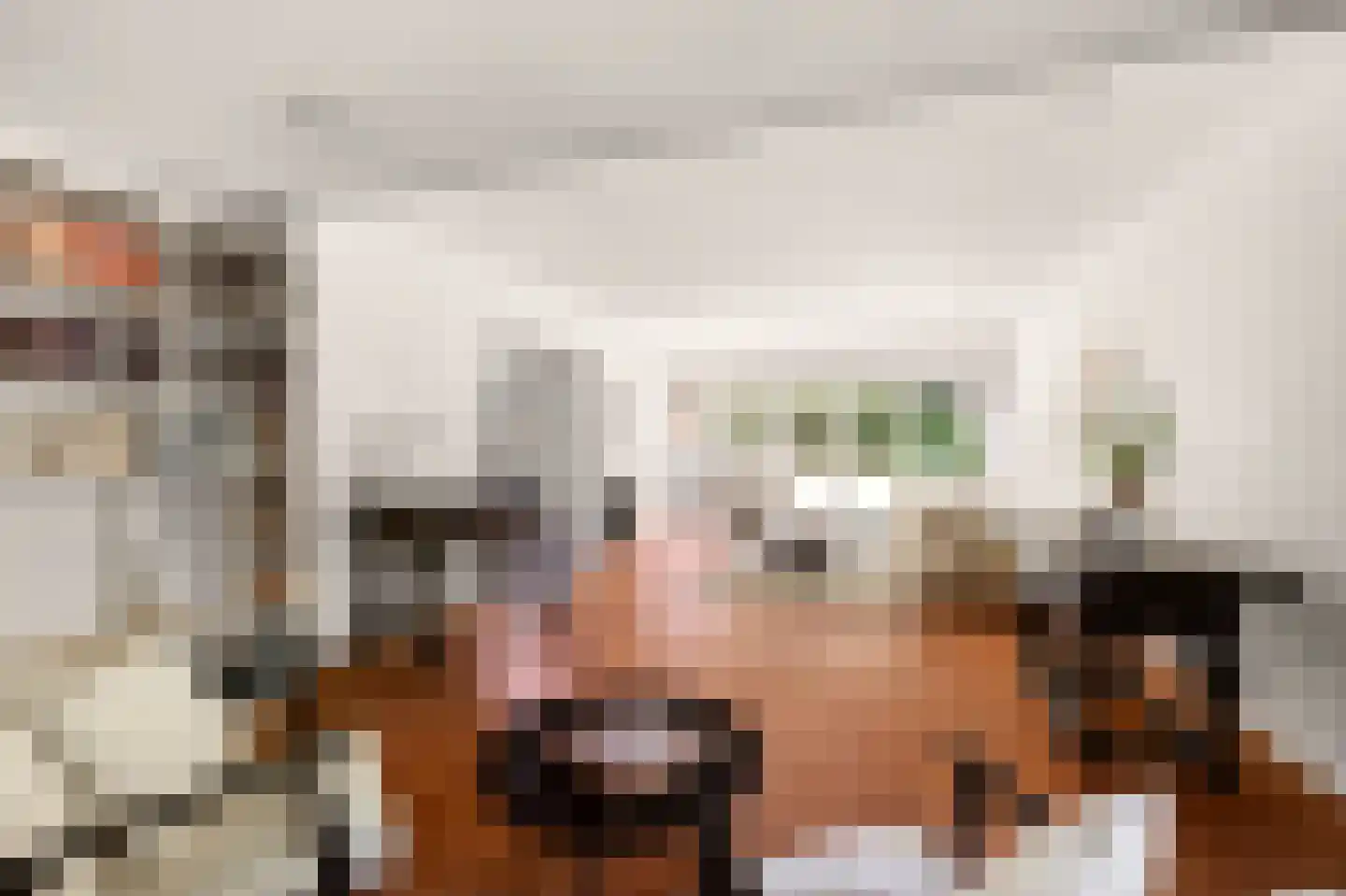 Rozenlaantje 6 Laren thumbnail 11