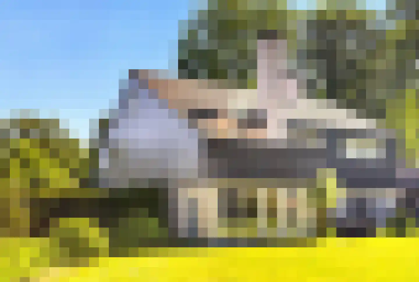 Rozenlaantje 6 Laren thumbnail 12