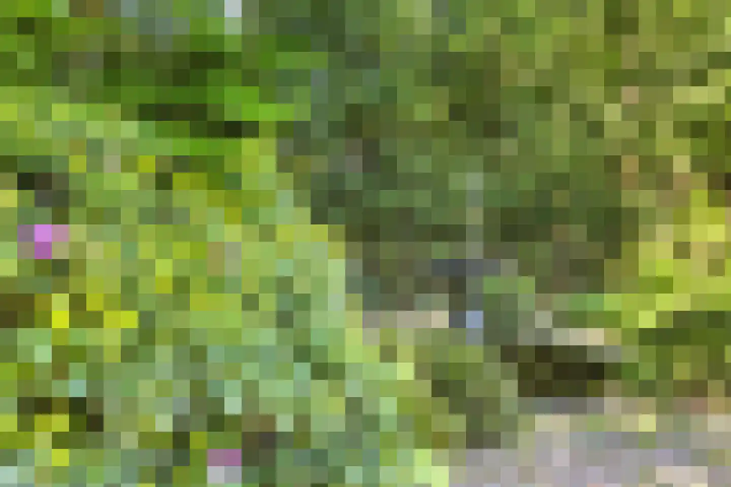 Rozenlaantje 6 Laren thumbnail 13