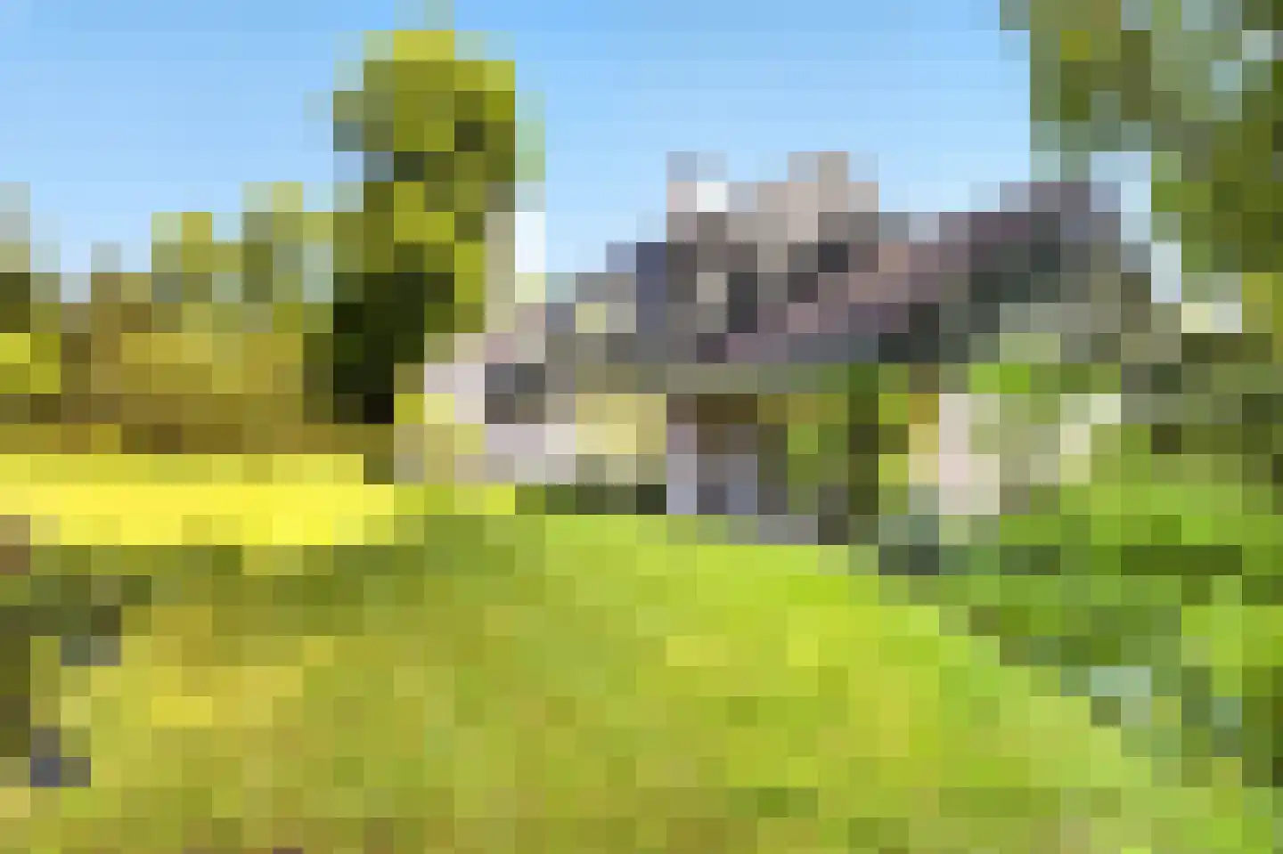 Rozenlaantje 6 Laren thumbnail 16
