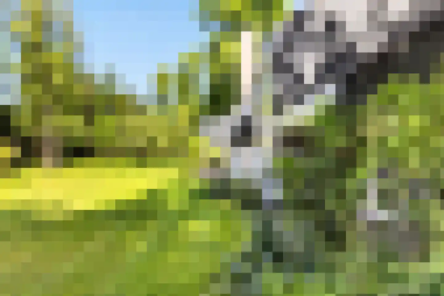 Rozenlaantje 6 Laren thumbnail 17
