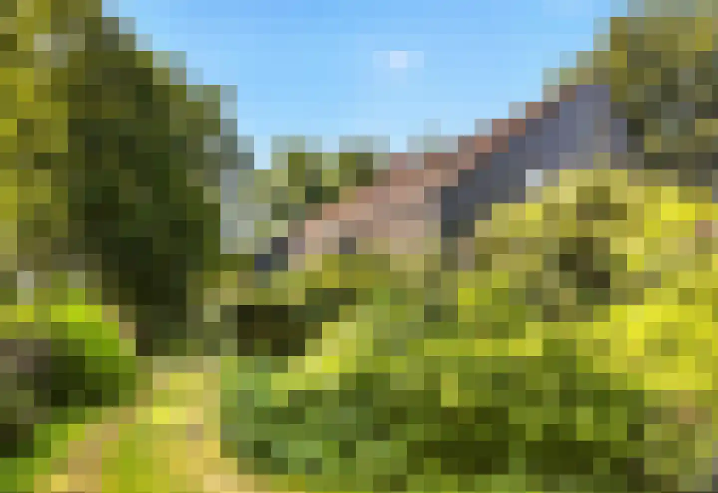 Rozenlaantje 6 Laren thumbnail 23