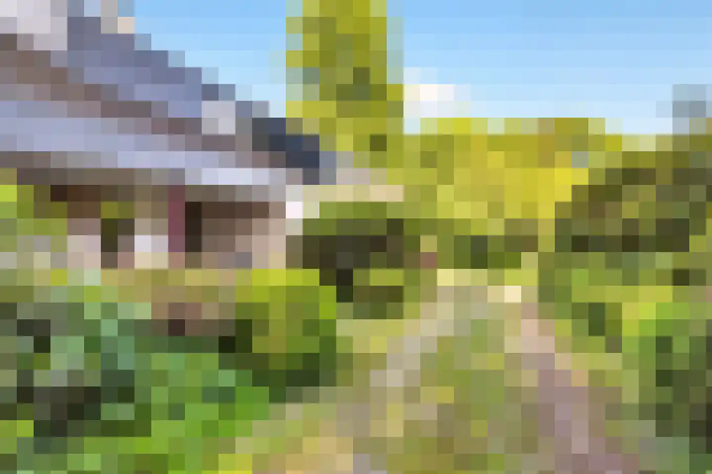 Rozenlaantje 6 Laren thumbnail 24