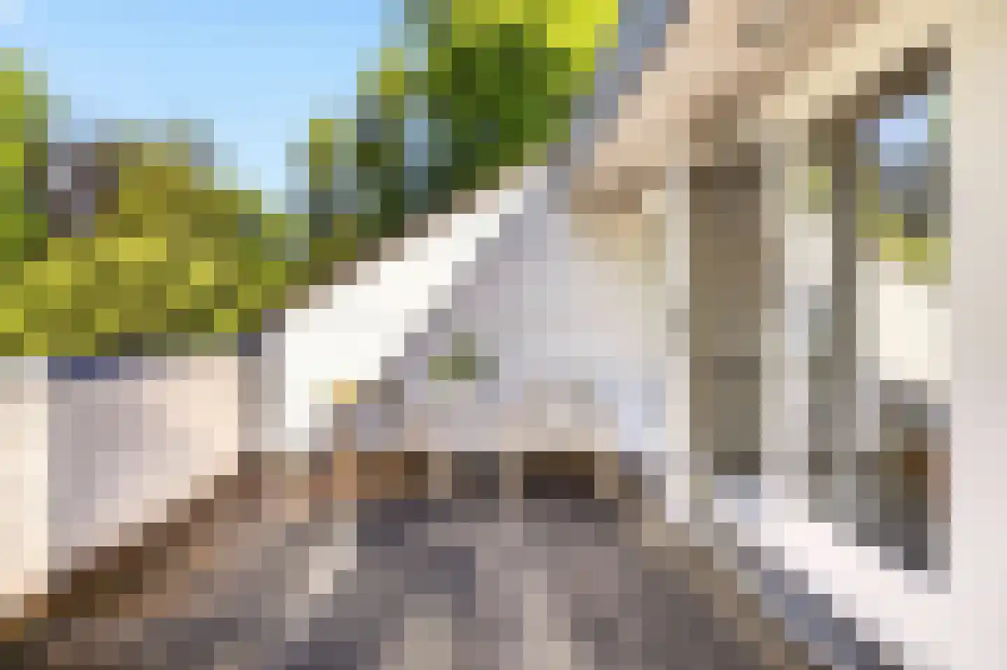 Rozenlaantje 6 Laren thumbnail 32