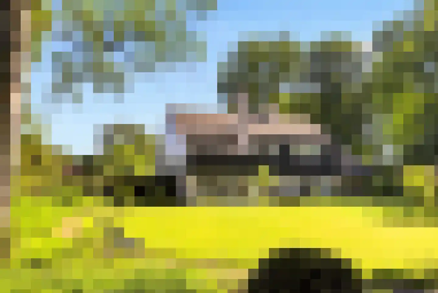 Rozenlaantje 6 Laren thumbnail 4