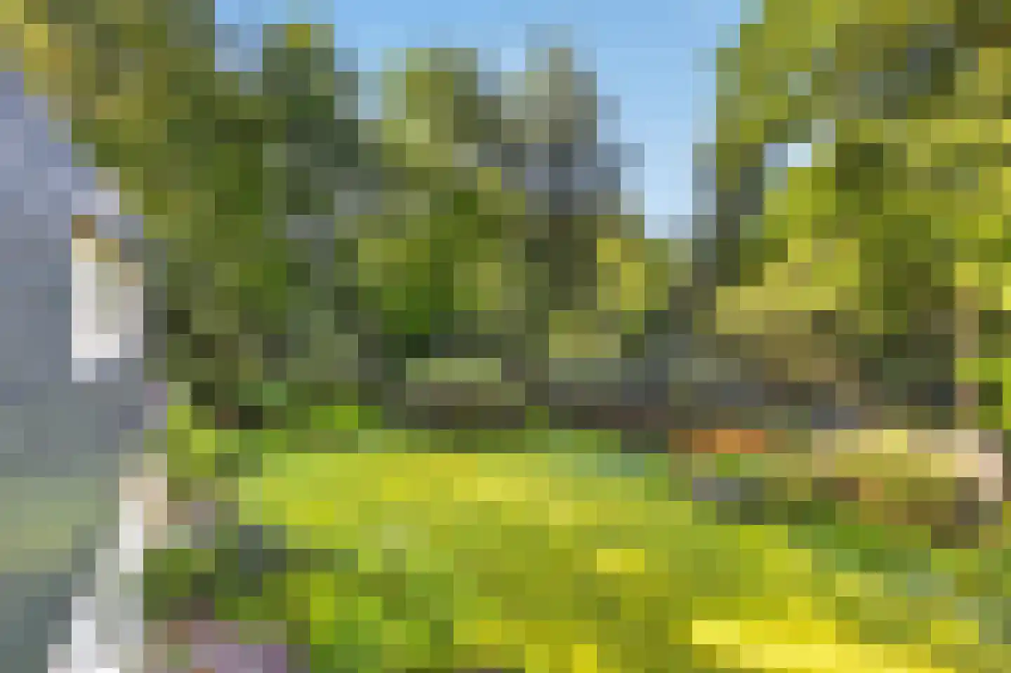 Rozenlaantje 6 Laren thumbnail 4