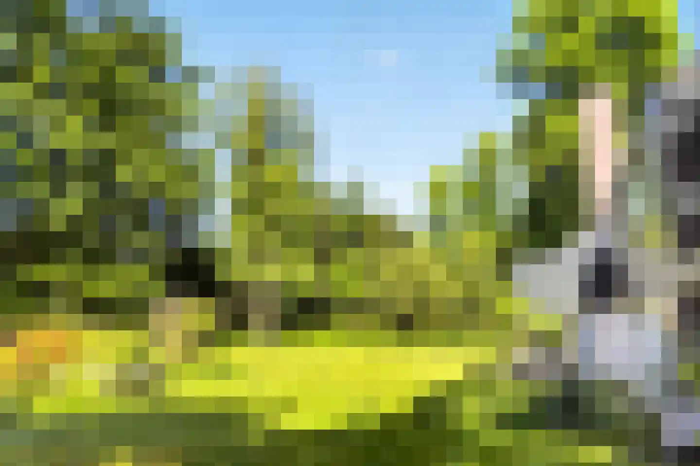 Rozenlaantje 6 Laren thumbnail 43