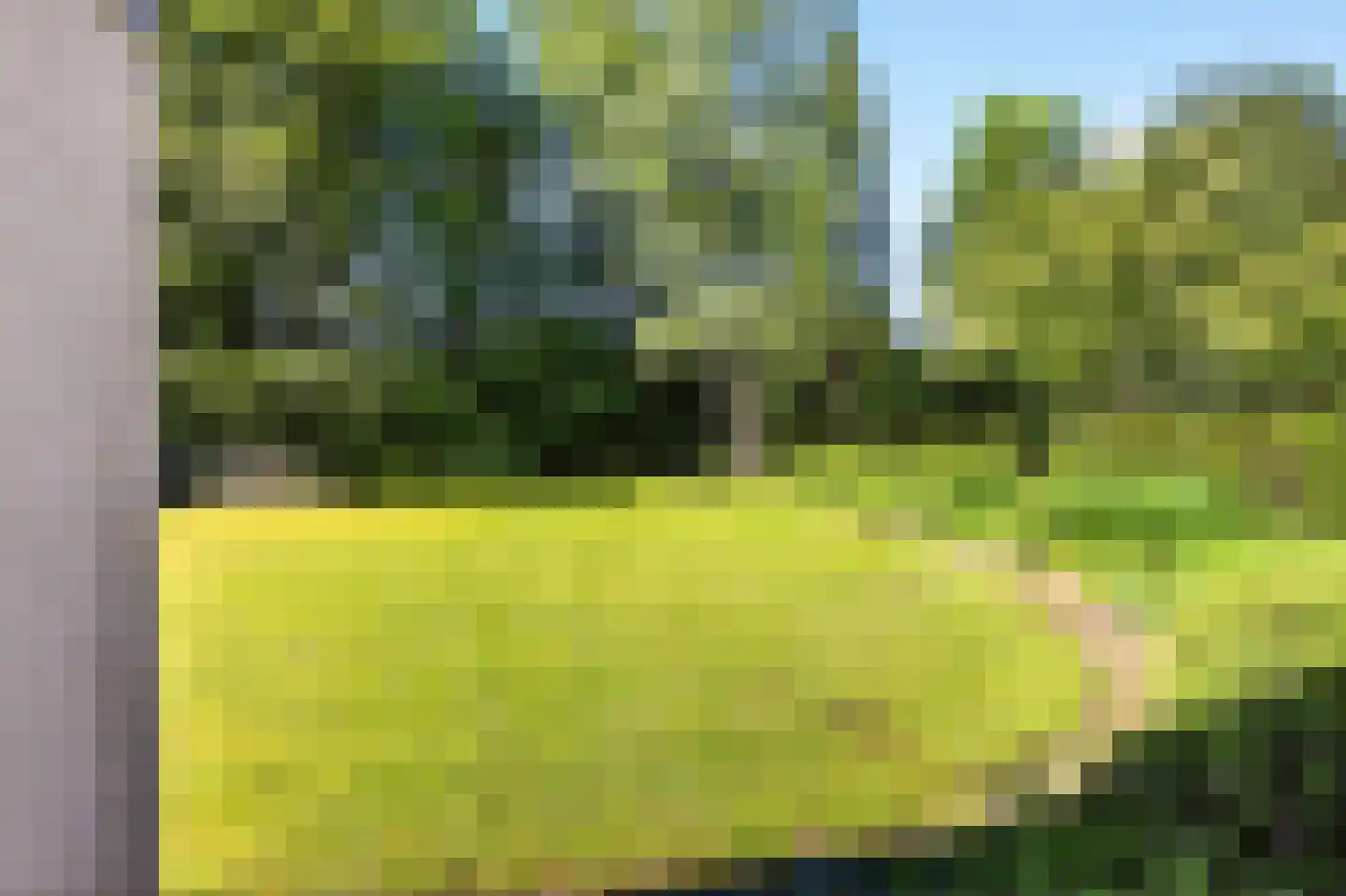 Rozenlaantje 6 Laren thumbnail 45