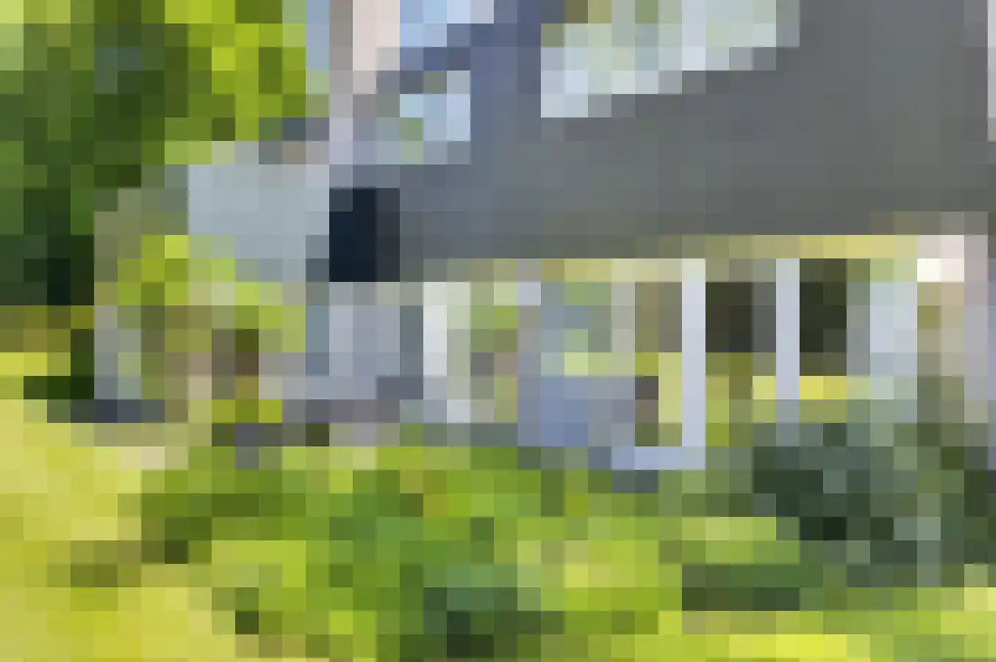 Rozenlaantje 6 Laren thumbnail 5