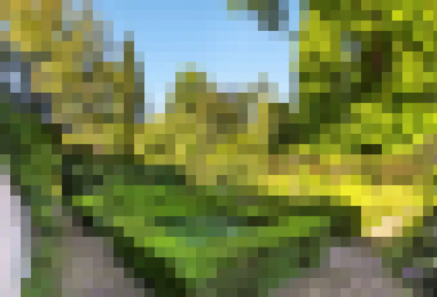 Rozenlaantje 6 Laren thumbnail 6
