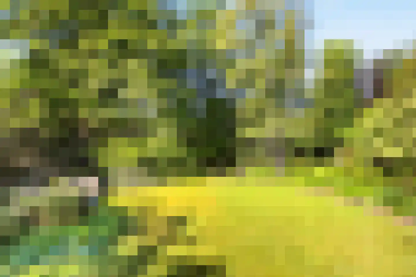 Rozenlaantje 6 Laren thumbnail 7