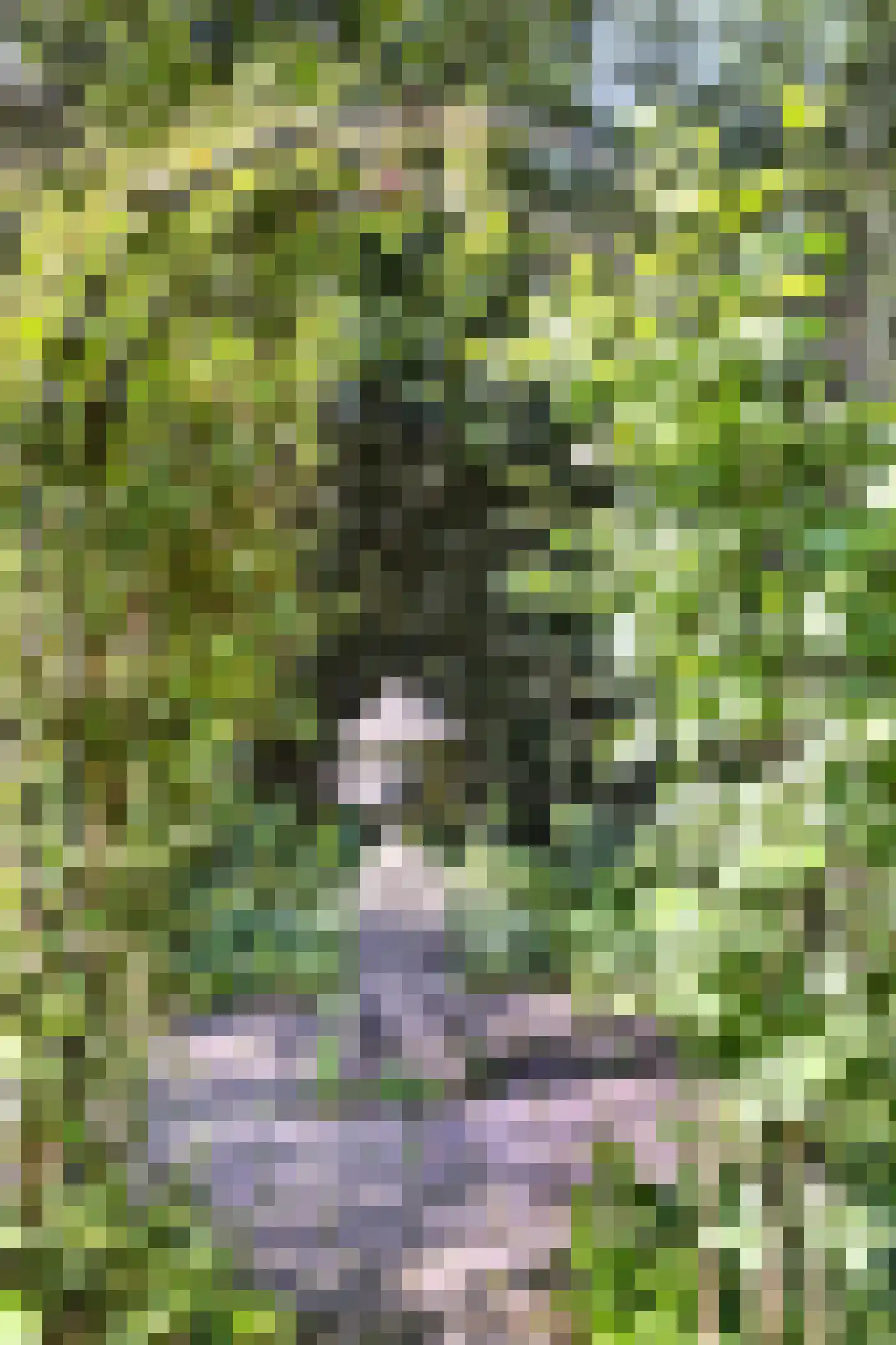 Rozenlaantje 6 Laren thumbnail 8