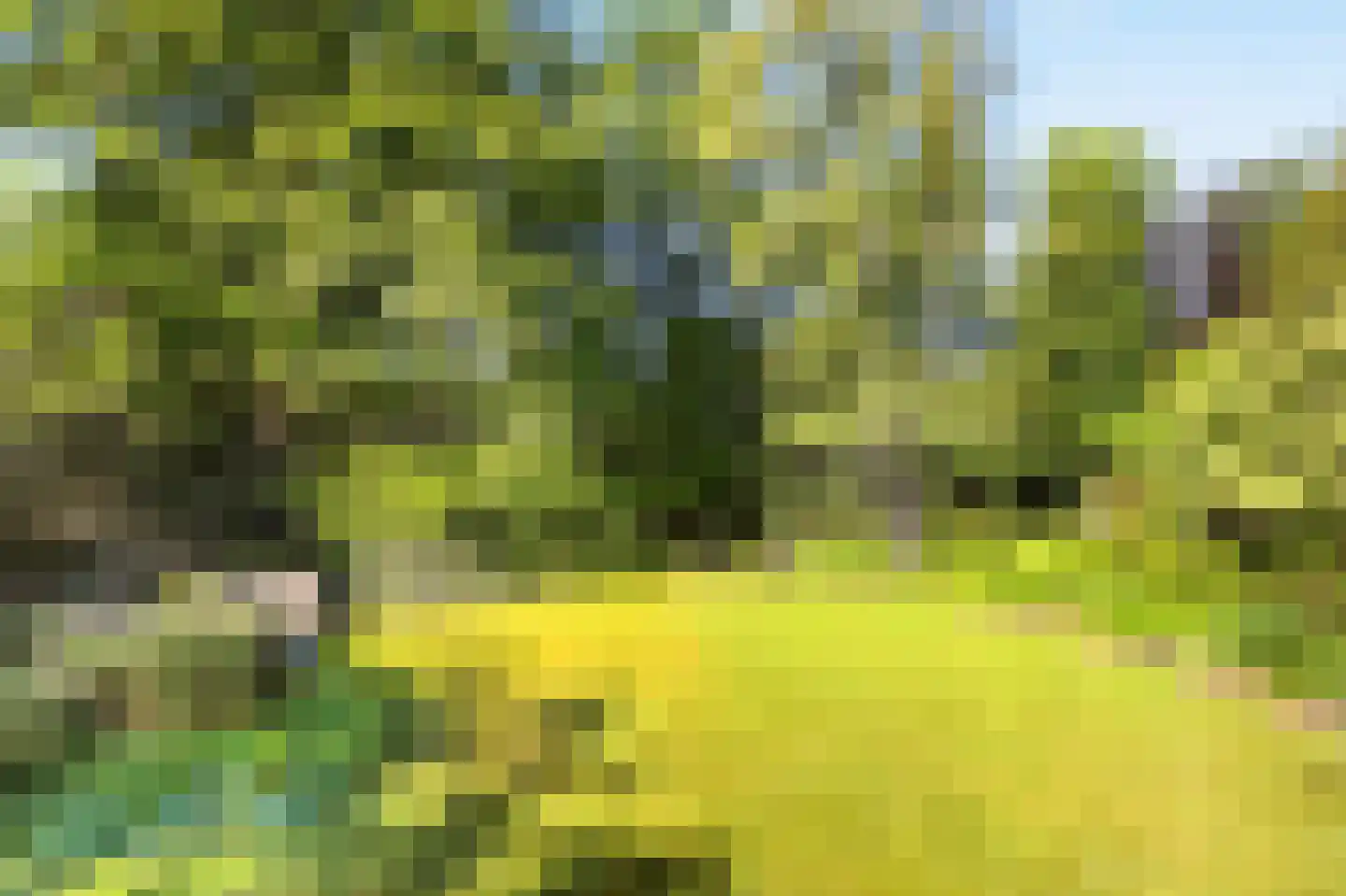 Rozenlaantje 6 Laren thumbnail 8