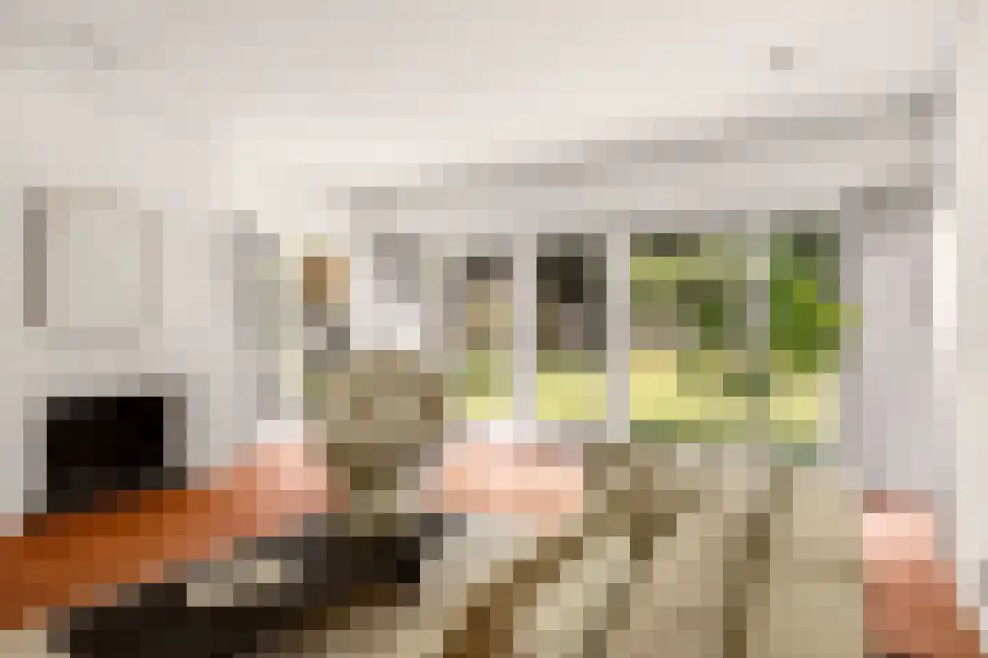 Rozenlaantje 6 Laren thumbnail 9