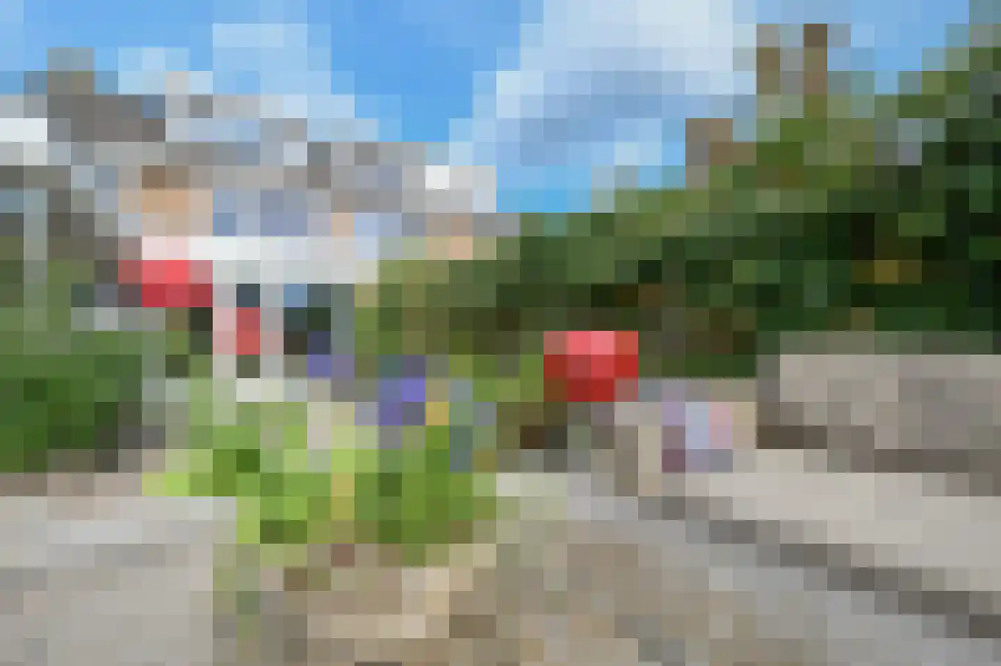 Rozenobel 25 Mijdrecht thumbnail 11