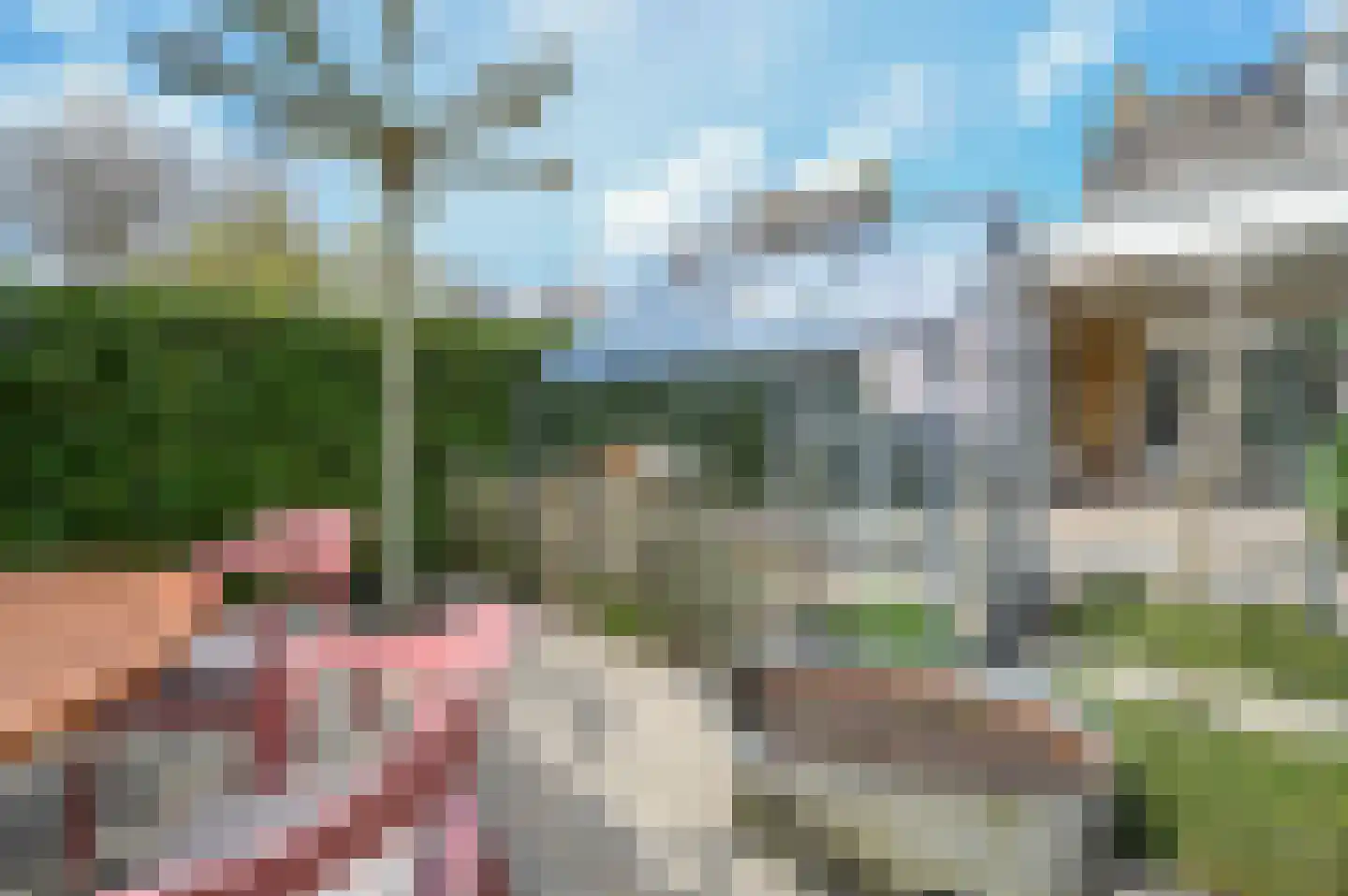 Rozenobel 25 Mijdrecht thumbnail 16