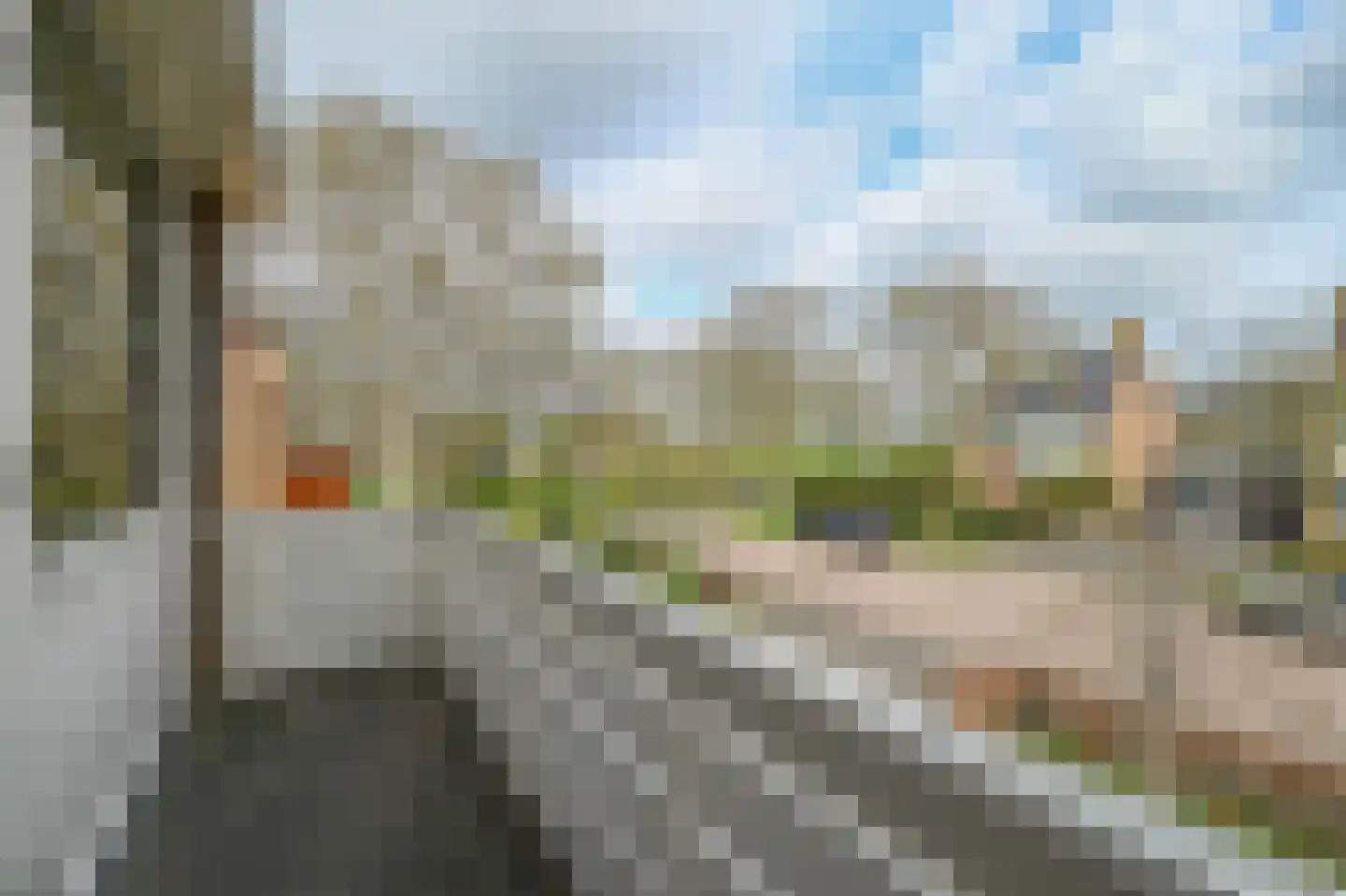 Rozenobel 25 Mijdrecht thumbnail 26