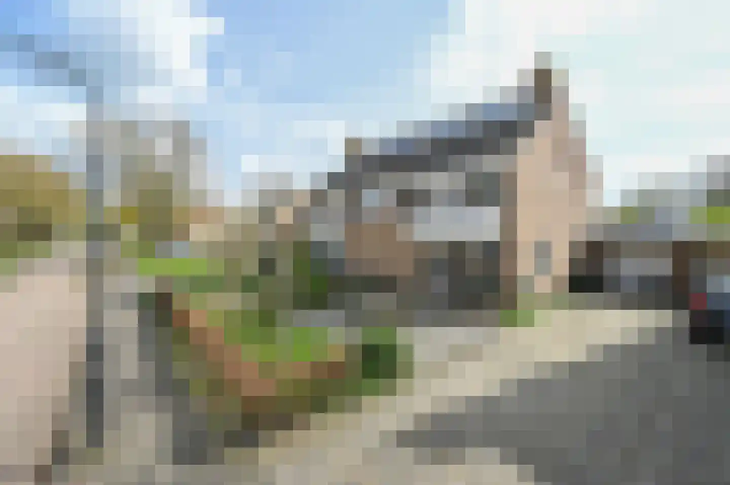 Rozenobel 25 Mijdrecht thumbnail 44