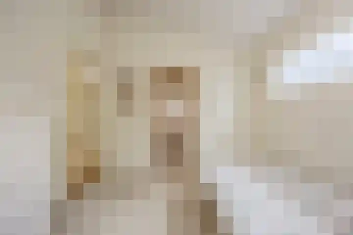 Rozenobel 34 Cuijk thumbnail 17