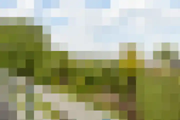 Rozenobel 34 Cuijk thumbnail 23