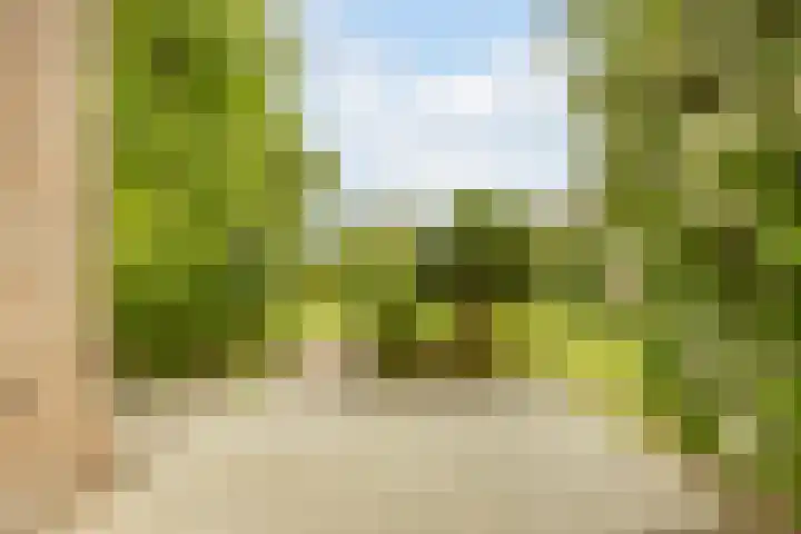 Rozenobel 34 Cuijk thumbnail 26
