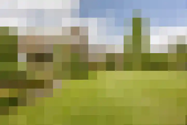 Rozenobel 34 Cuijk thumbnail 28