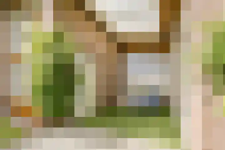 Rozenobel 34 Cuijk thumbnail 30