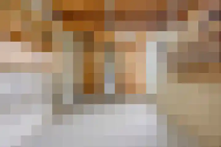Rozenobel 34 Cuijk thumbnail 31