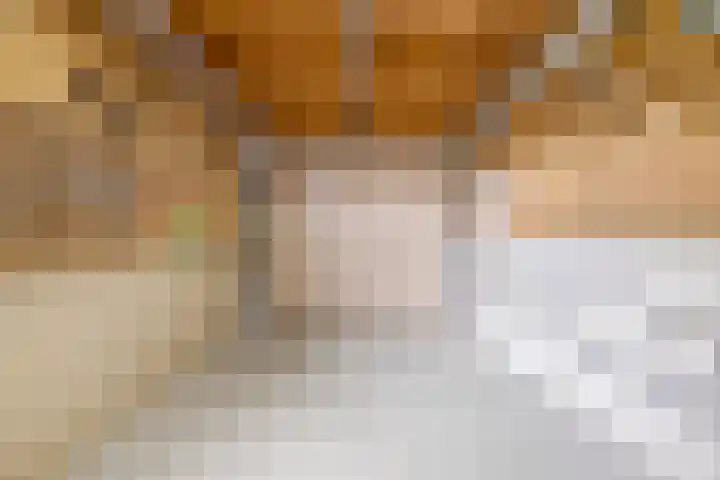 Rozenobel 34 Cuijk thumbnail 32