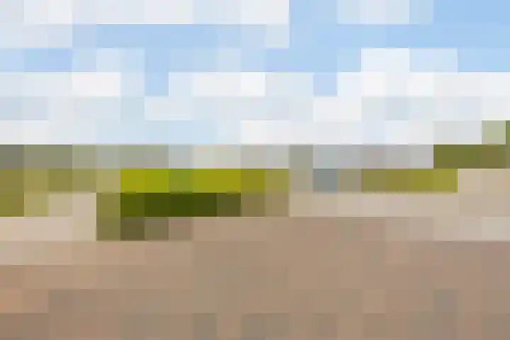 Rozenobel 34 Cuijk thumbnail 34
