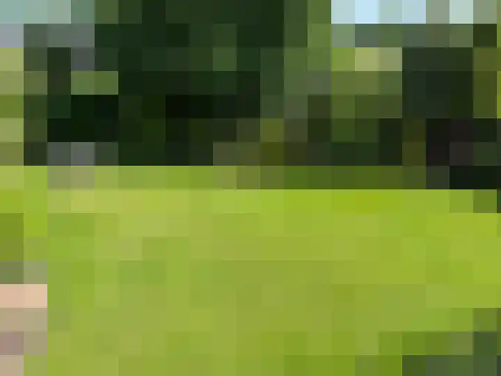 Rozenobel 34 Cuijk thumbnail 38