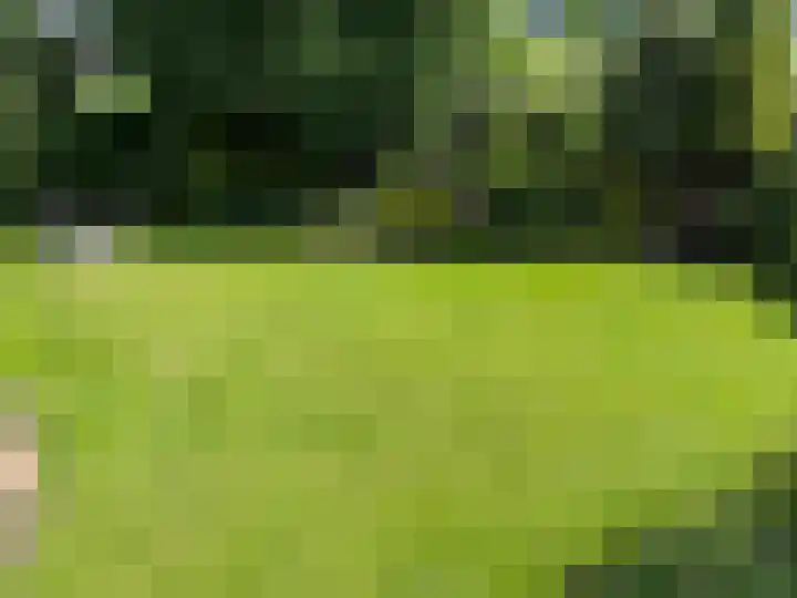Rozenobel 34 Cuijk thumbnail 39
