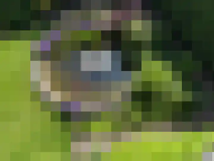 Rozenobel 34 Cuijk thumbnail 4
