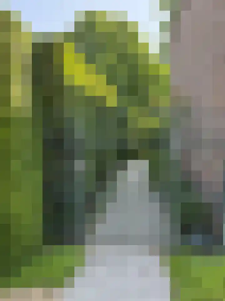 Rozenobel 34 Cuijk thumbnail 42