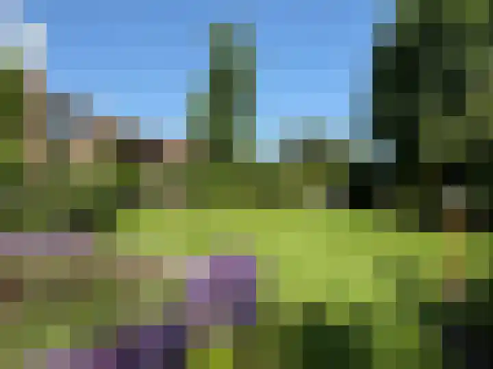 Rozenobel 34 Cuijk thumbnail 43