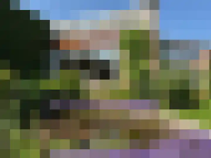 Rozenobel 34 Cuijk thumbnail 46