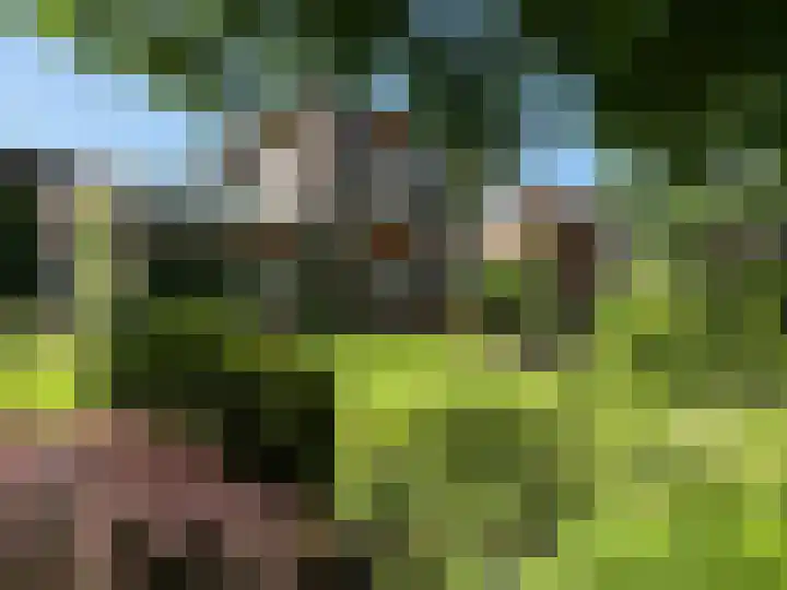 Rozenobel 34 Cuijk thumbnail 47