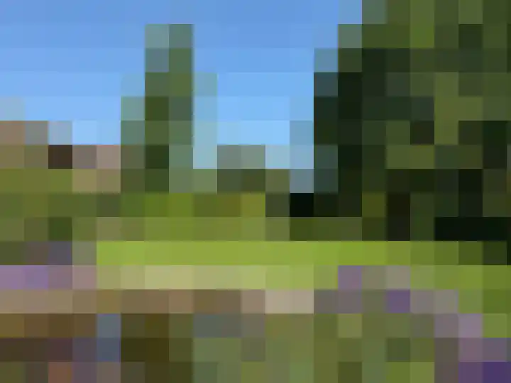 Rozenobel 34 Cuijk thumbnail 48