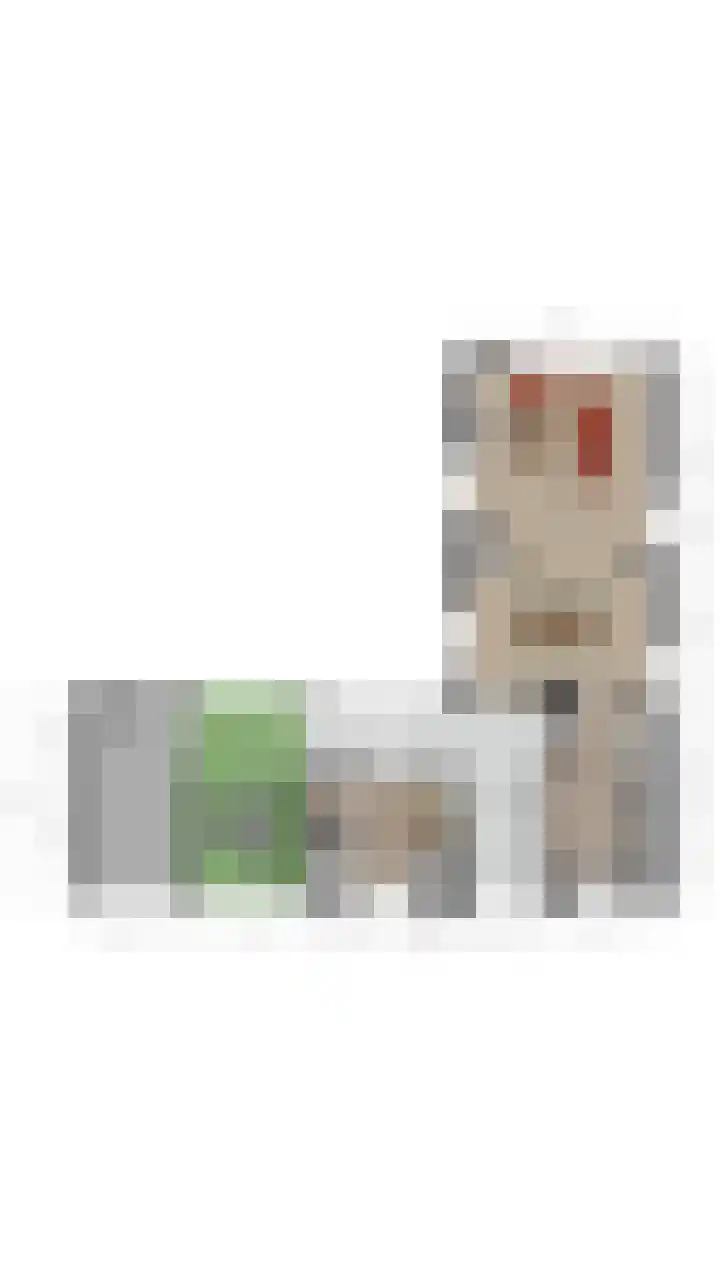 Rozenobel 34 Cuijk thumbnail 49